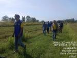 ลงพื้นที่ตรวจสอบความเสียหายนาข้าว พื้นที่บ้านสายซอยร่วมจิต