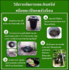 ถังขยะอินทรีย์หรือขยะเปียกครัวเรือน